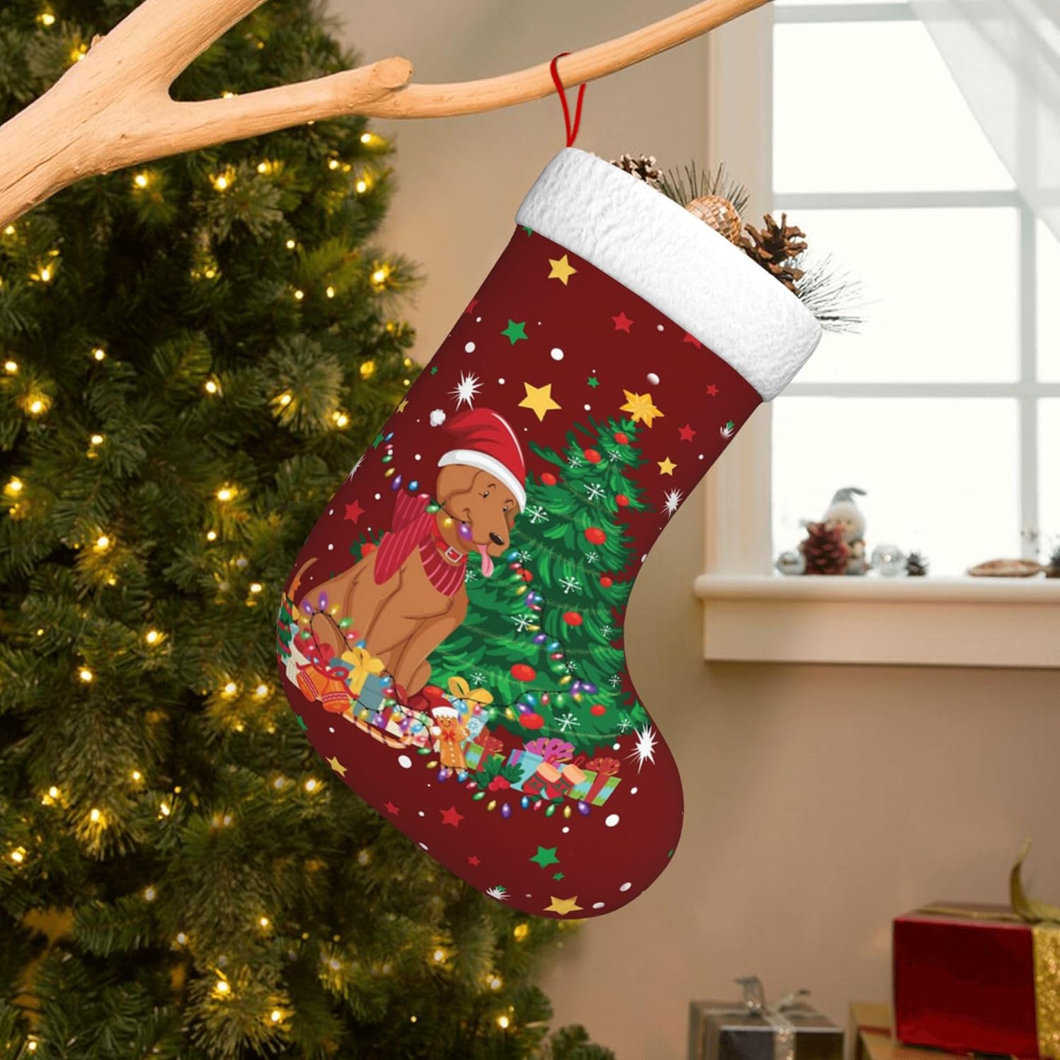 Christmas Stocking Hanging - Diseño de luz navideña para perros,